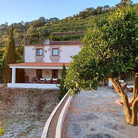 Alijó Country House Quinta Da Salgueira المظهر الخارجي الصورة