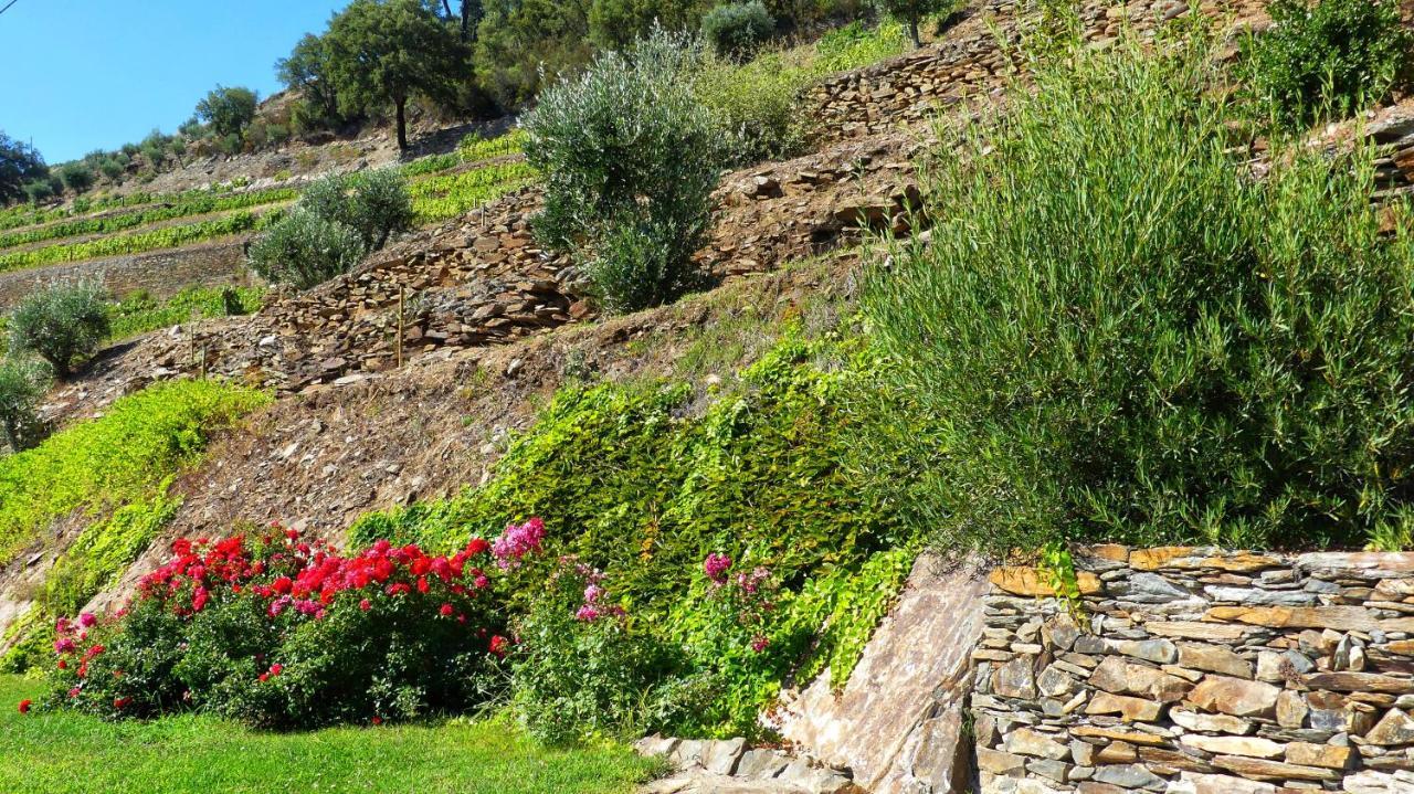 Alijó Country House Quinta Da Salgueira المظهر الخارجي الصورة