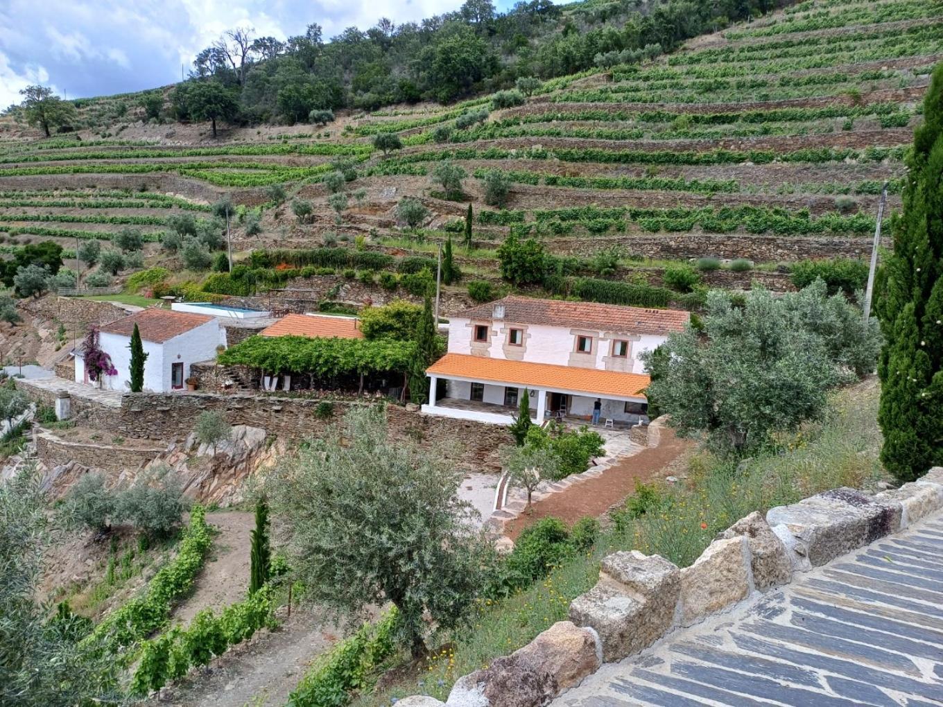 Alijó Country House Quinta Da Salgueira المظهر الخارجي الصورة