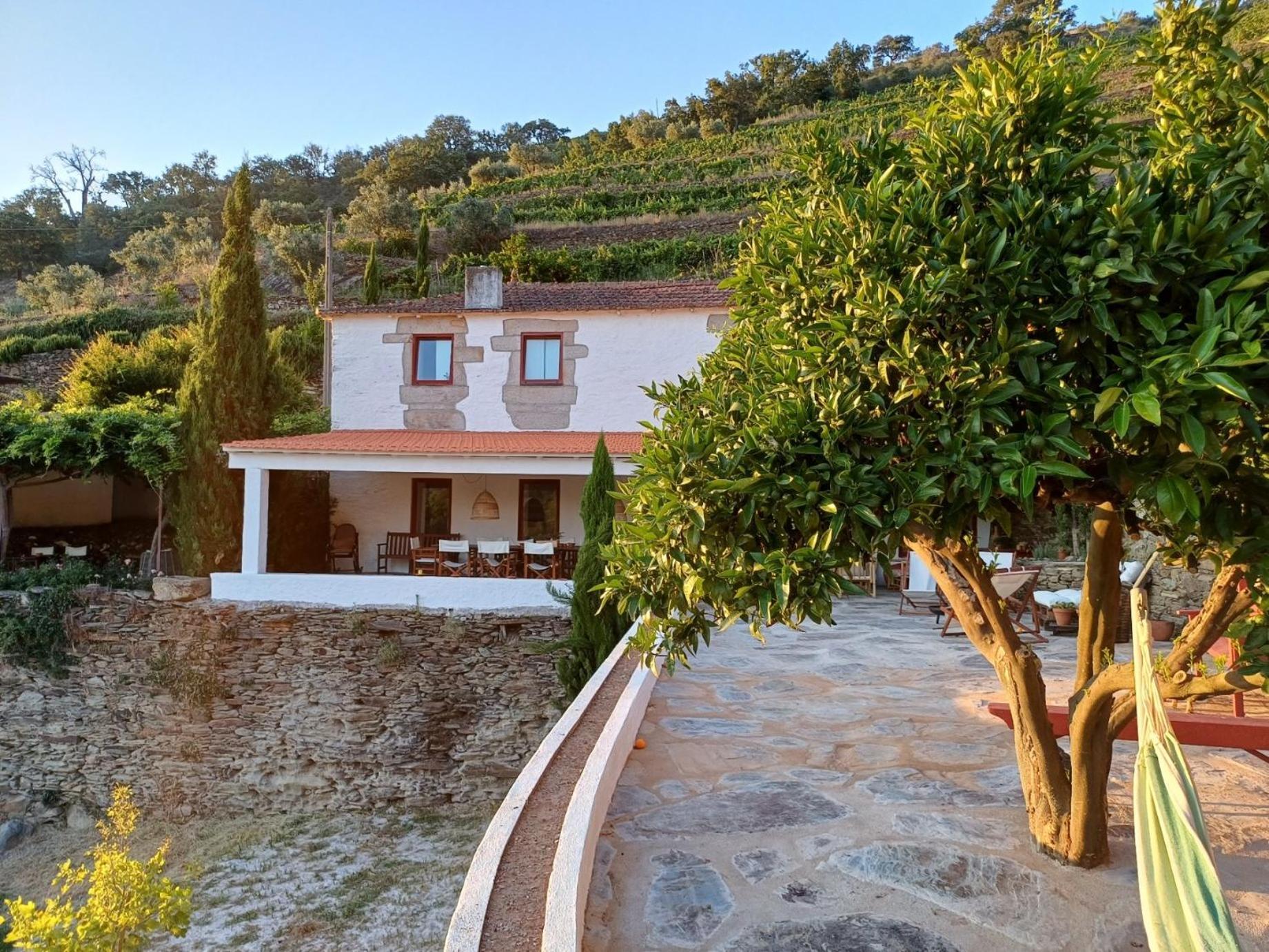 Alijó Country House Quinta Da Salgueira المظهر الخارجي الصورة