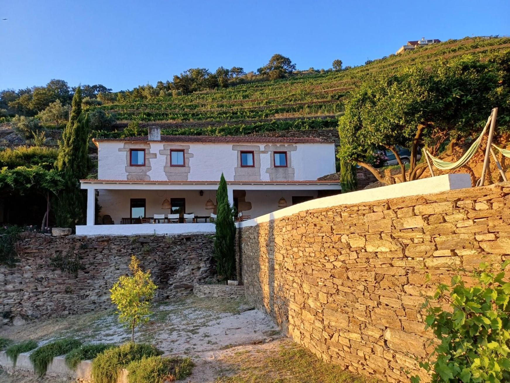 Alijó Country House Quinta Da Salgueira الغرفة الصورة