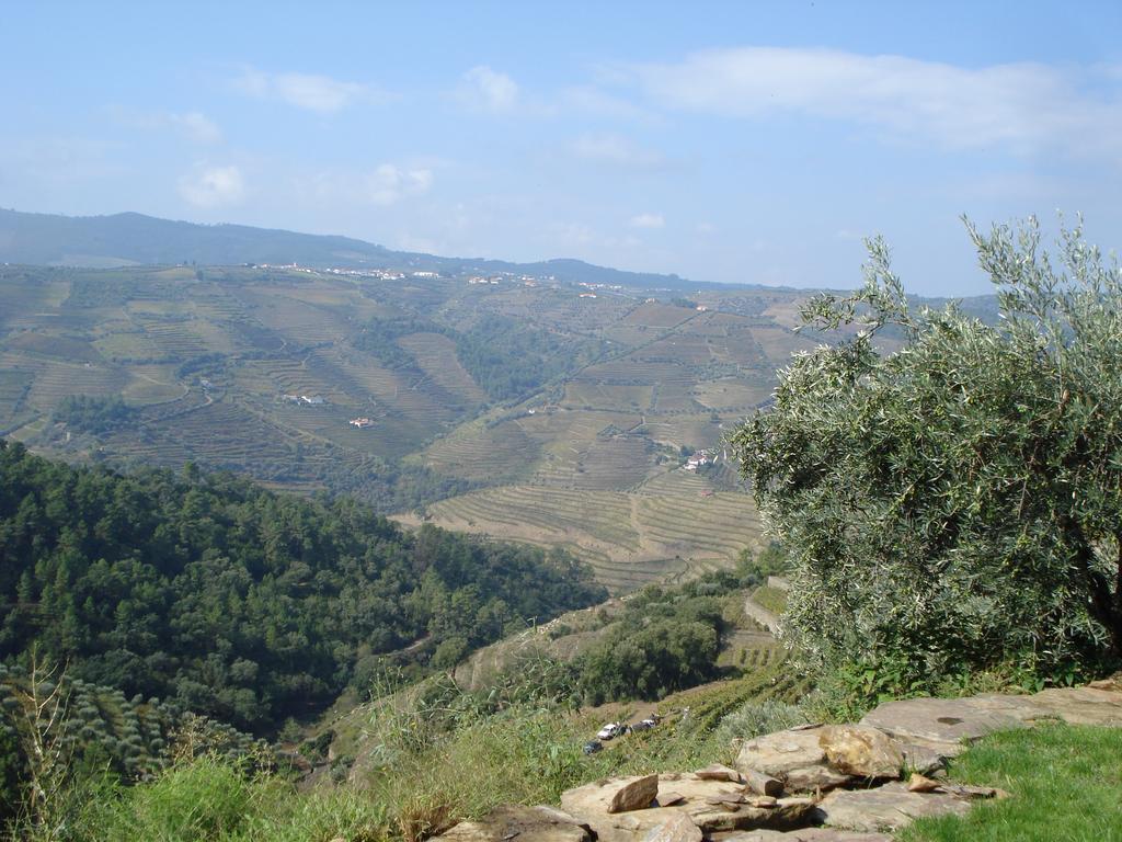 Alijó Country House Quinta Da Salgueira المظهر الخارجي الصورة