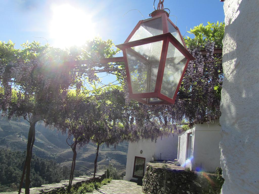 Alijó Country House Quinta Da Salgueira المظهر الخارجي الصورة