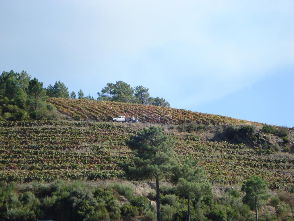 Alijó Country House Quinta Da Salgueira المظهر الخارجي الصورة