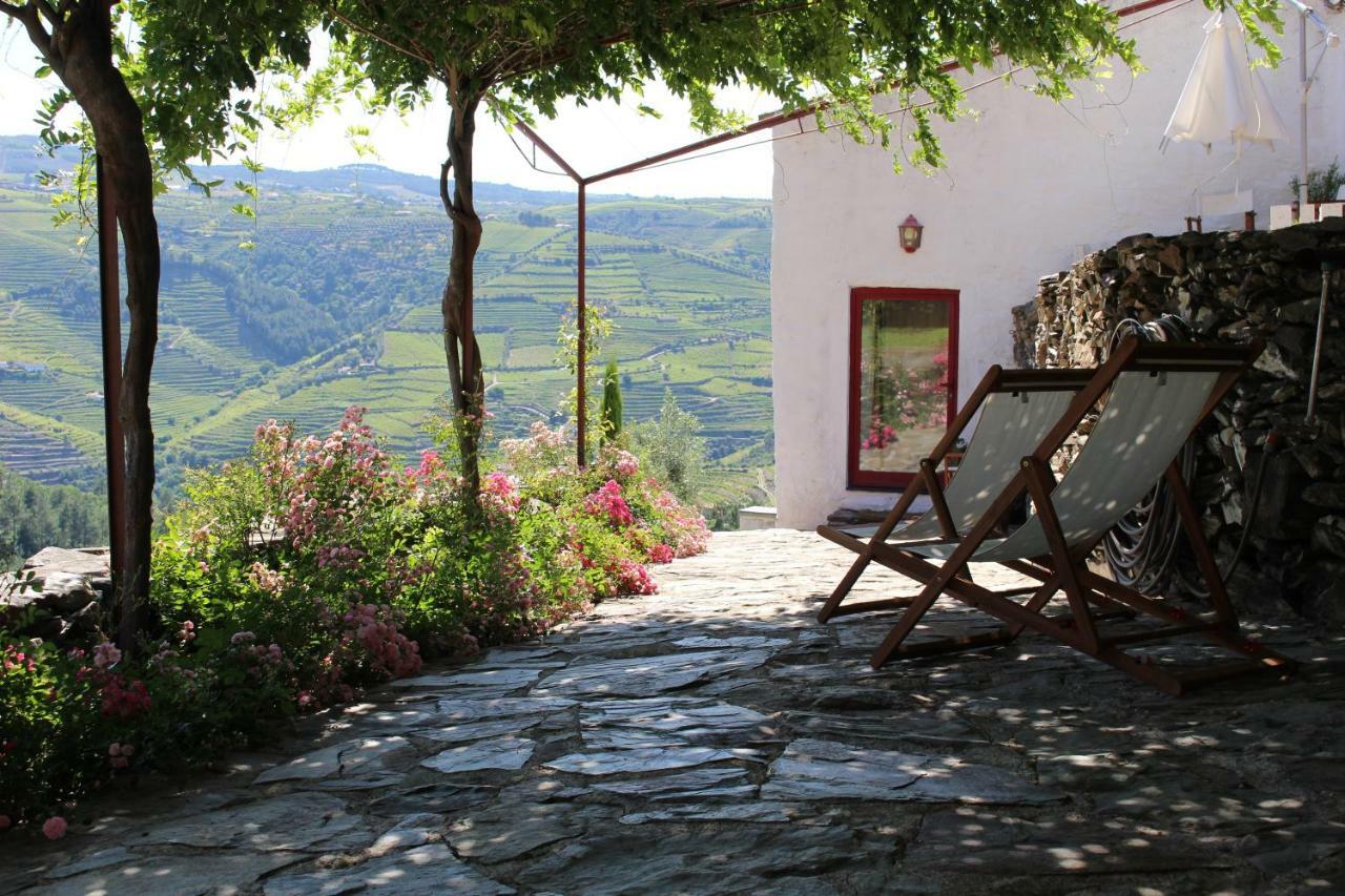 Alijó Country House Quinta Da Salgueira المظهر الخارجي الصورة